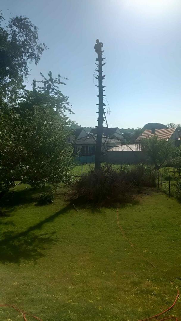20240712085621704_ef62cc8f1003_thumbnail.jpg Entretien espaces verts, Vesoul