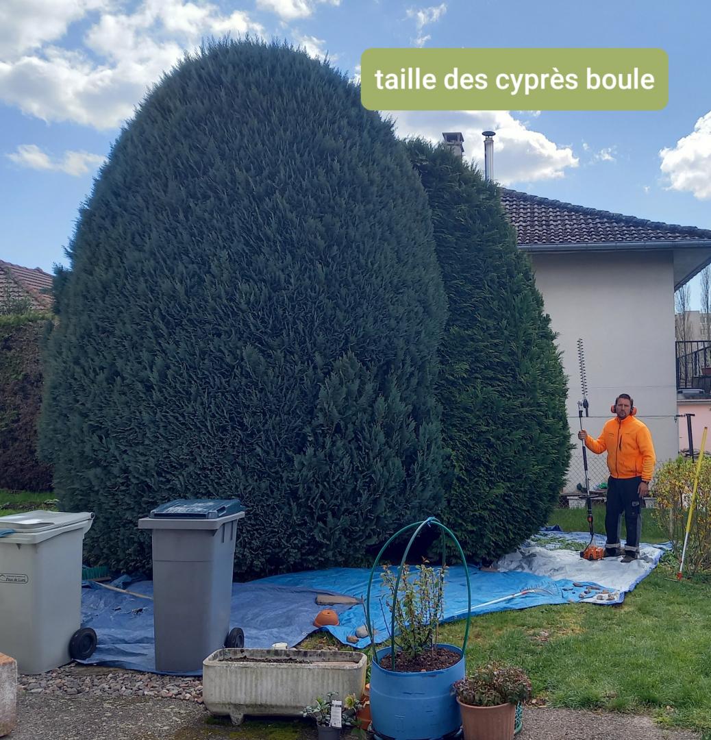 lp_support_20240712090159790_7222110e2997.jpg Entretien d'espaces verts, Delle
